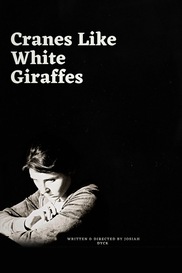 Cranes Like White Giraffes