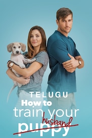 How To Train Your Husband