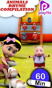 Animals Rhyme Compilation