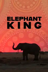 Elephant king