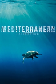 Mediterranean: Life Under Siege