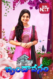 Brundavanam