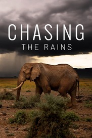 Chasing The Rains