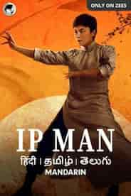 IP Man: The Awakening