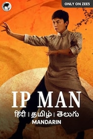 IP Man: The Awakening