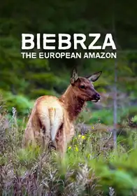 Biebrza: The European Amazon