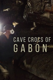 Cave Crocs of Gabon