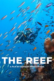 The Reef