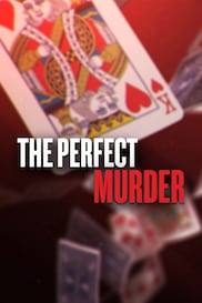The Perfect Murder