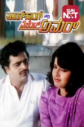 Hongkong Nalli Agent Amar