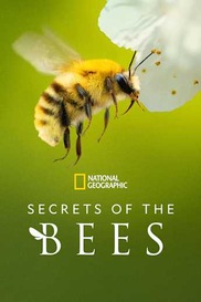 Secrets of the Bees