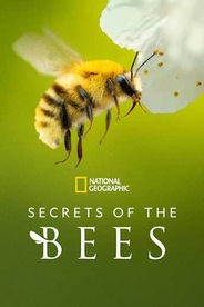 Watch Secrets of the Bees on OTTplay with one OTT subscription