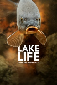 Lake Life: Secrets Beneath The Surface