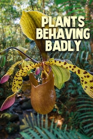 Plants Behaving Badly