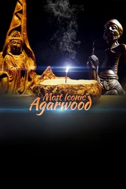 Most Iconic: Agarwood