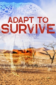 Adapt To Survive