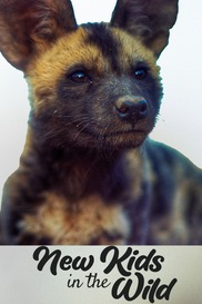 New Kids in the Wild