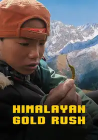 Himalayan Gold Rush