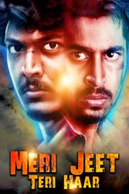 MERI JEET TERI HAAR (HINDI)