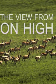 The View From On High