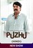 Puzhu (Hindi)