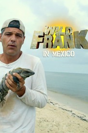 Wild Frank In Mexico