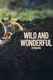 Wild and Wonderful Denmark