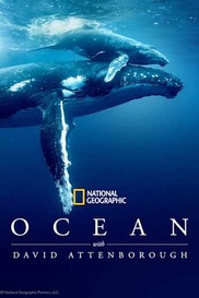 Ocean with David Attenborough