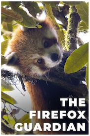The Firefox Guardian