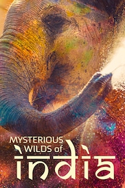 Mysterious Wilds Of India