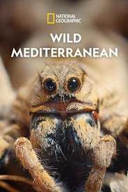 Wild Mediterranean