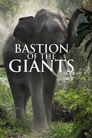 Bastion of the Giants