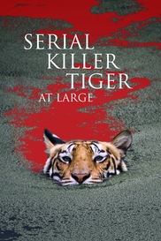Serial Killer Tiger At Large