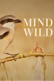 Mind Wild