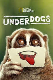 Underdogs