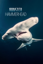 Monster Hammerhead