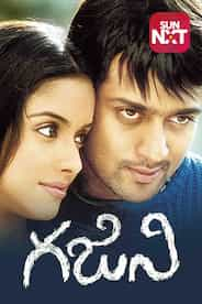 Ghajini (Telugu)