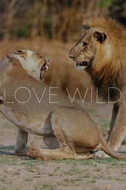 Love Wild