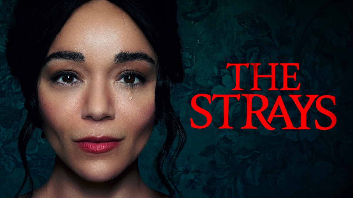The Strays 2023 watch online OTT Streaming of movie on Netflix