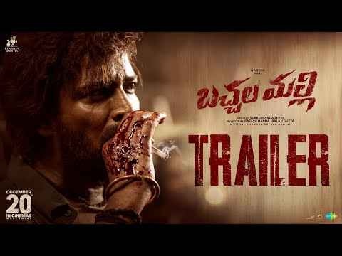 Allari Naresh in his last film Bachchala Malli