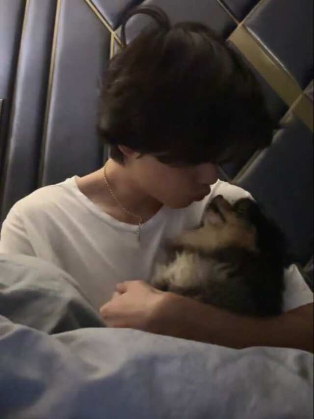 BTS' V Pomeranian Yeontan (4)