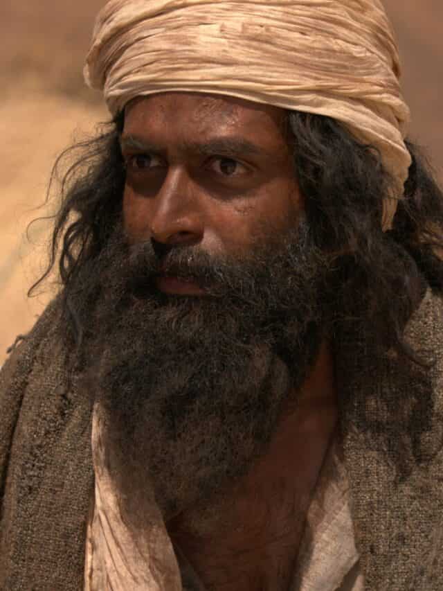 aadujeevitham-box-office-day-11-the-prithviraj-starrer-collects-rs