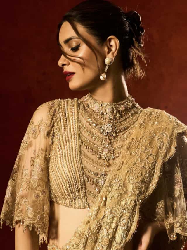 The Penny Pan Saree