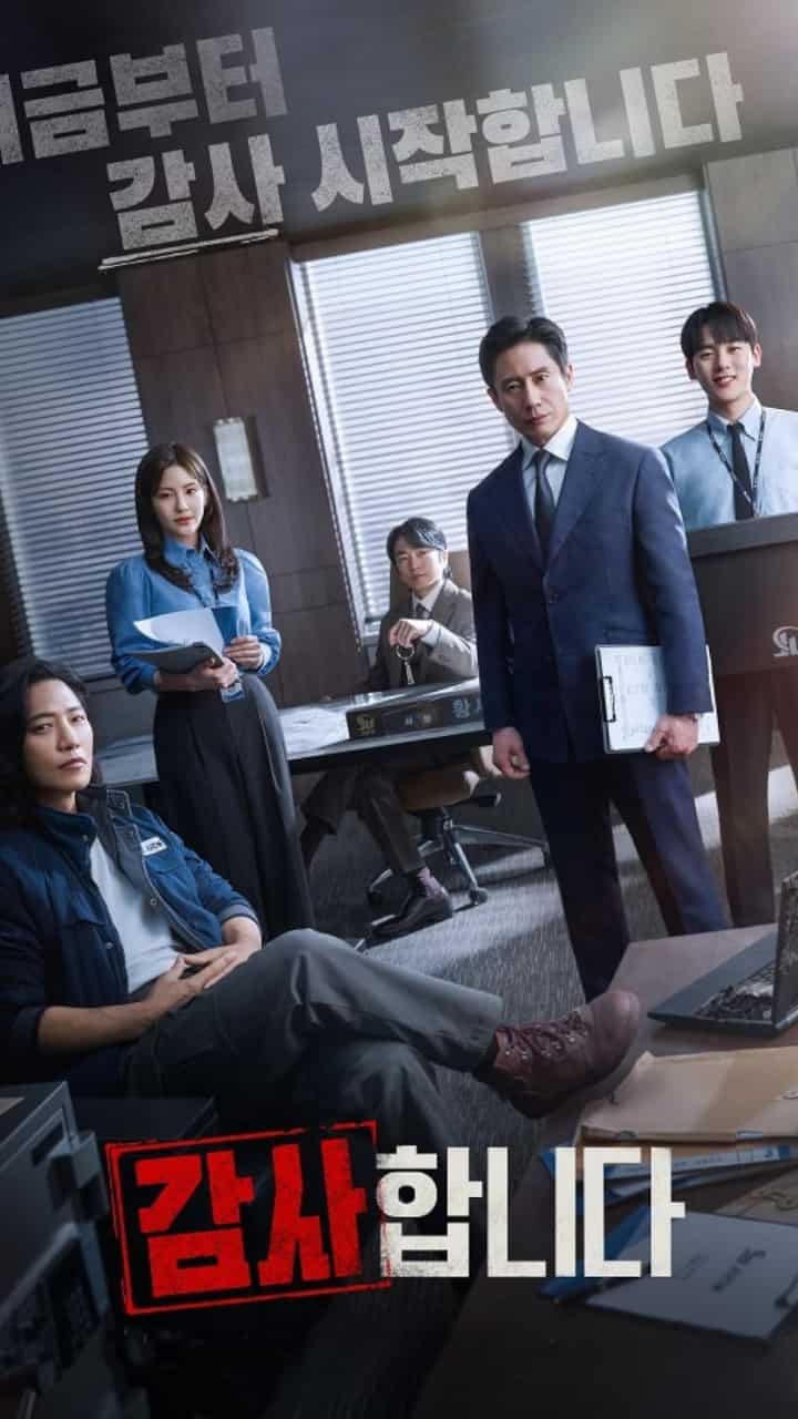 the auditors on netflix